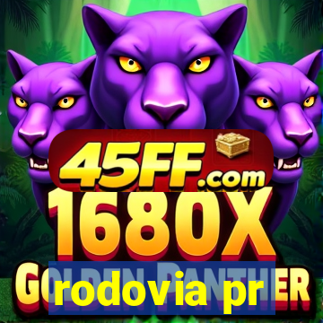 rodovia pr-317 km 155 onde fica